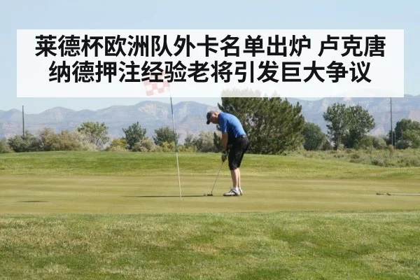 golf player putting on green - kaiyun